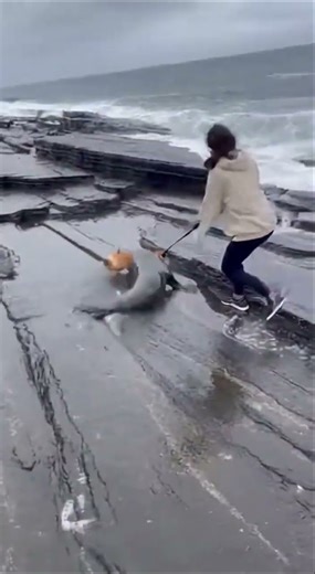 POV: Walking Your Dog When a SEAL Attacks! 🌊🐕 #Shorts