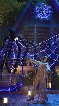 Get “inspidered” with Command™ Products