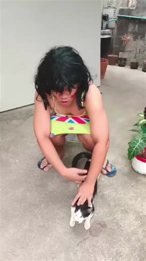 Slime Story Time: Funny Cat Adventures