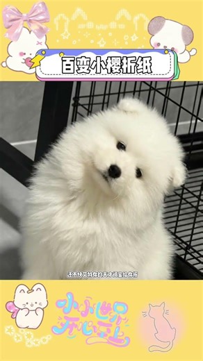 The art of flexible cherry blossom origami that you can master at a glance