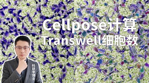 使用Cellpose进行transwell细胞计数