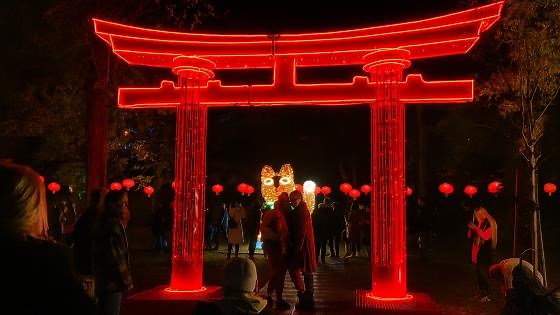 A night walk through Budapest’s light wonderland