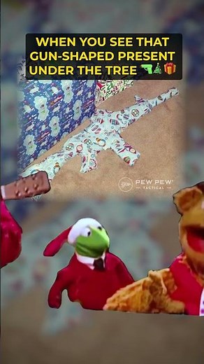 WHAT GUN IS IT?! 🔫🎄🎁