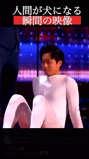 【人が一瞬で犬に変わる瞬間の衝撃映像】#衝撃映像 #びっくり映像 #衝撃 #不思議 #不思議映像