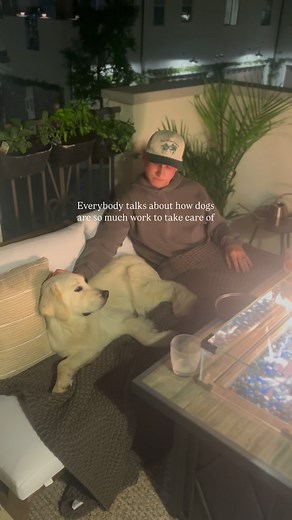 14K views · 5.7K reactions | Don’t get me wrong, yes, dogs require a...