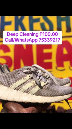 Fresh Step Sneaker Laundry on TikTok