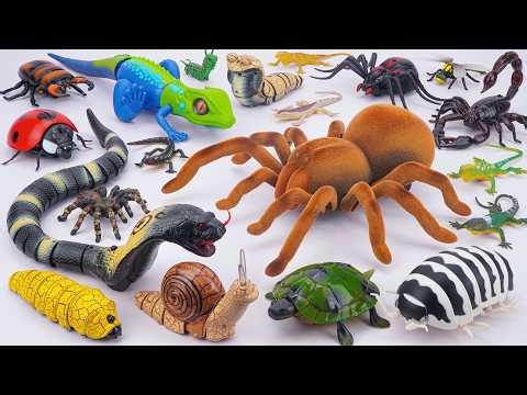 ZURU ROBO ALIVE COLLECTION | UNBOXING Robo Tarantula Spider, Robo Naja Cobra Snake , Lizard | ASMR
