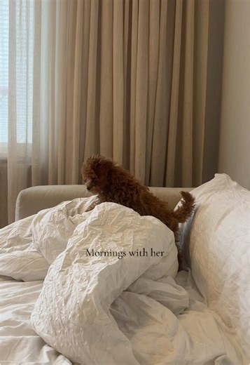 Helping Your Puppy Sleep in Her Own Bed
