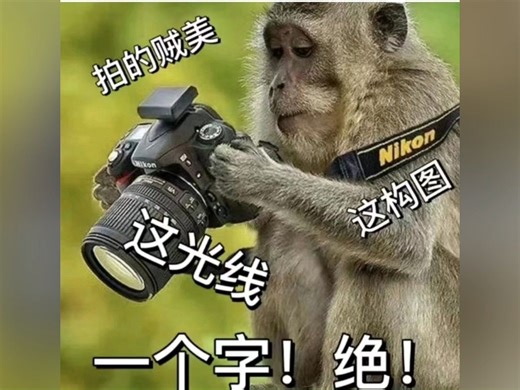 终于轮到我了，诸位，献丑了