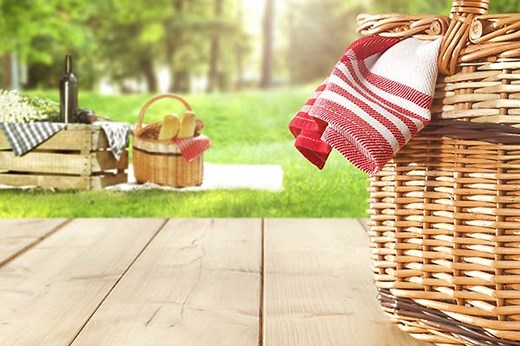 One Day Picnic Spots near Nagpur for a Perfect Family Time