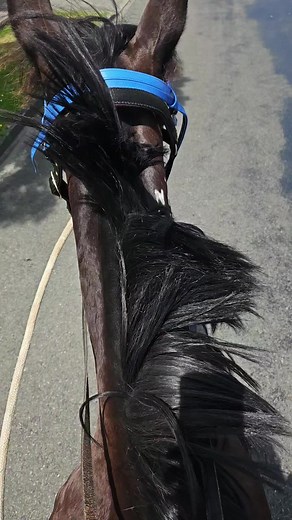 @Mana my milkshake brings all the boys to the yard 😂😂