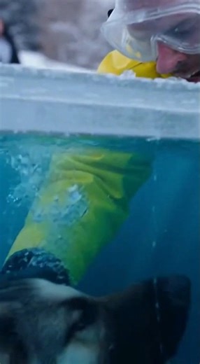 FIREFIGHTER'S ICE RESCUE Last Second Save of Dog Under Ice!