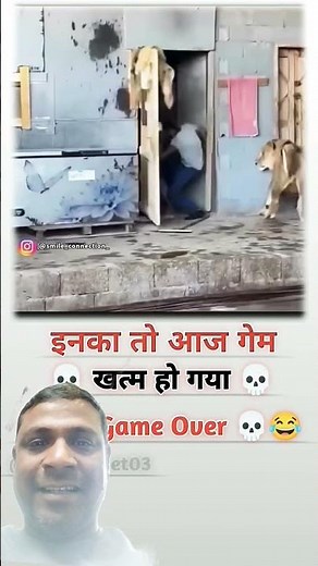 😱😱Wmg Ghar sher Gush gya kya hoga in logo ka👀