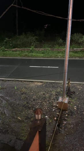 Raining Cats and Dogs Cows and Chicken | Sam J. Oabel