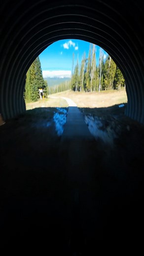 Hold on tight… Jared's dropping in! 🔥📹 Ride along with Jared Calhoun as he sends it downhill on the Polygon Collosus DH9 — full speed, full focus, full send. 🚵‍♂️💨 This POV is pure adrenaline. Are you ready for it? Would you hit this line? 👀👇 #BikesOnline #ridemoreforless #PolygonBikes #CollosusDH9 #DownhillPOV #FullSend | BikesOnline USA