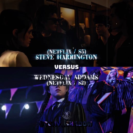 Steve Harrington vs Wednesday Addams