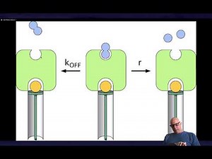 Kinetic proofreading