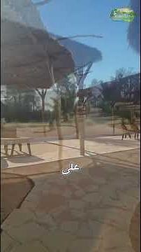 قصة ملك الموت مع سيدنا موسي عليه السلام #وجنة_نعيم #عشر_ذي_الحجة #حديث #موسى_عليه_السلام