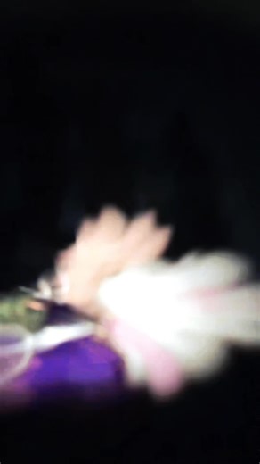 this song has been stuck in my head. Happy new year and merry (late) Christmas! I had no drafts to post bc j accidentally deleted tik tok 🤕 🐿️🐿️🐿️ #alt #umamusumeprettyderby #neverplayedthisgame #meow