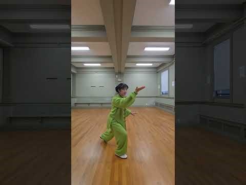 (2)85-form Yang style Taichi 85式杨氏太极