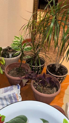 Гүлдер курсына шақырамын