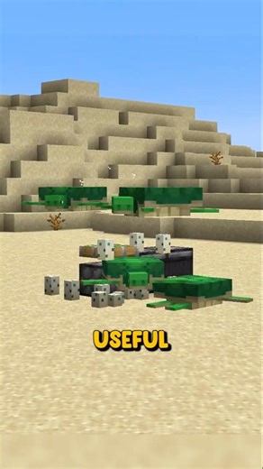 Turtles Secret Use !