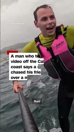 Shark chases after foil surfer in California