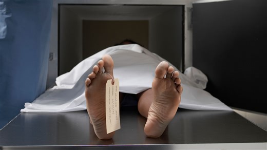 'Spare' human bodies to be grown in artificial wombs & can serve as 'MEAT'