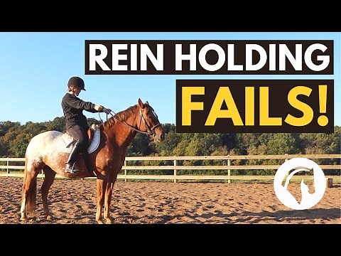 HOW TO HOLD HORSE REINS *THE RIGHT WAY*