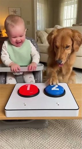Pushes buttons|#cute #cutebaby #funnybaby #relatable #funny #funnyclips #pets