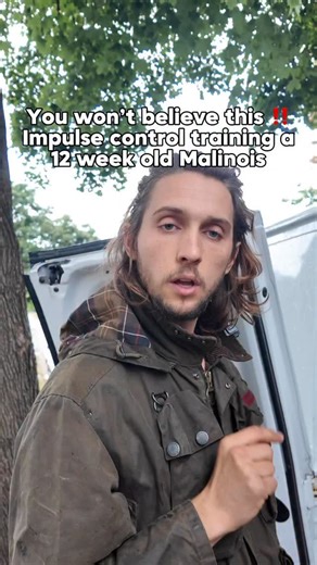 Impulse control isn’t just a nice skill — it’s essential. ✔️ It’s the difference between a dog who bolts out the door into traffic… and one who pauses, checks in, and stays safe. One second of impulse can lead to disaster. ✔️ Teaching your dog to wait, to think before acting, is one of the most powerful forms of obedience — and in some cases, it could literally save their life. ✔️ Impulse control is the foundation of calm behaviour, focus, and trust. It’s not flashy, but it’s what separates a we