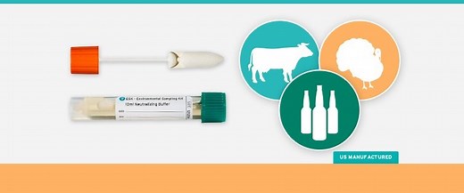 Using the Right Bacteria Detection Swabs