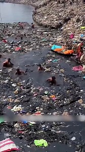 Đây là dòng sông sạch sẽ và mát mẻ nhất với người đan nơi đây | Cartoon Fix