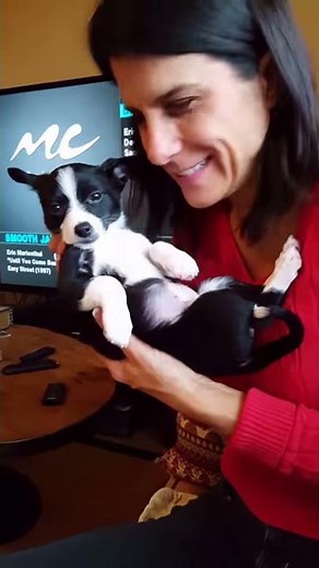 Puppy Hypnosis with Michele Guzy