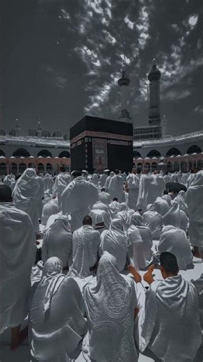 quran verses with urdu translation