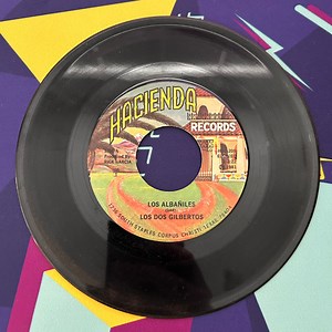 Los Dos Gilbertos - Los Albaniles / Mi Desventura