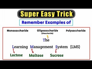 Trick to Remember Examples of Monosaccharides, Disaccharides and Polysaccharides.