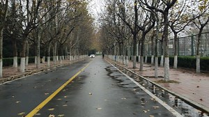 车道线识别lanedetection素材3