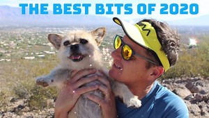 5.9K views · 929 reactions | The year that was 2020... | Finding Gobi | Facebook