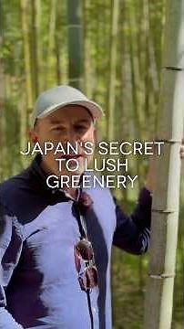 How Is Japan SO GREEN? I Found Out!