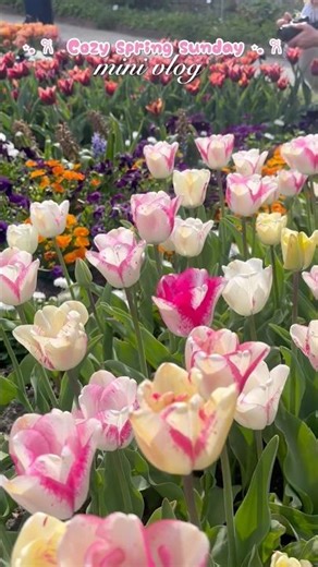 Dreamy Spring Sunday 💌 Japanese pancakes + Ghibli Vibes + Tulips 🌷