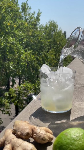 Delicious Moscow Mule Recipe with Ginger Beer and Vodka