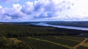 426K views · 1.2K reactions | Escape in Every Sense to Finger Lakes Wine Country! Request our free travel magazine. | Finger Lakes Wine Country | Facebook