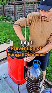 31K views · 248 reactions | Prevention of fungal diseases. Starting...