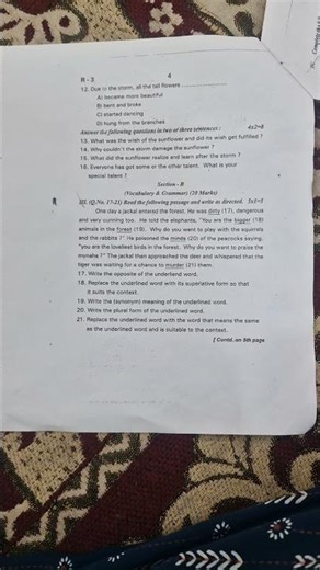class 6 english 2024 SA1 question paper