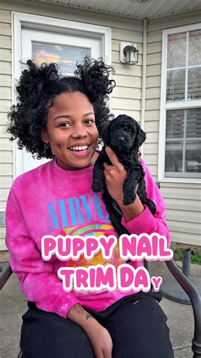 Puppy nail trim day 🤗#goldendoodles #minigoldendoodles #goldendoodle #cockapoo #puppy