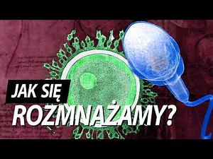 Kiedy zaczyna się życie?