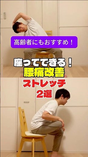 【今日の運動】座ってできる！腰痛改善ストレッチ2選【かんたん】