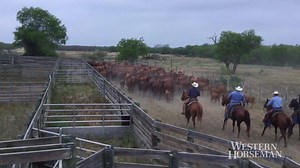 277K views · 6.9K reactions | Western Horseman was honored to visit the King Ranch and dedicate the August issue to this iconic ranch. It features an in-depth look at the horses, people and history of the Running W brand, plus what they have in store for the future. Order your copy of this special edition issue here: https://whmag.co/2NwnBFT | Western Horseman | Facebook