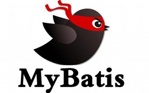 高手进阶Java主流框架之Mybatis